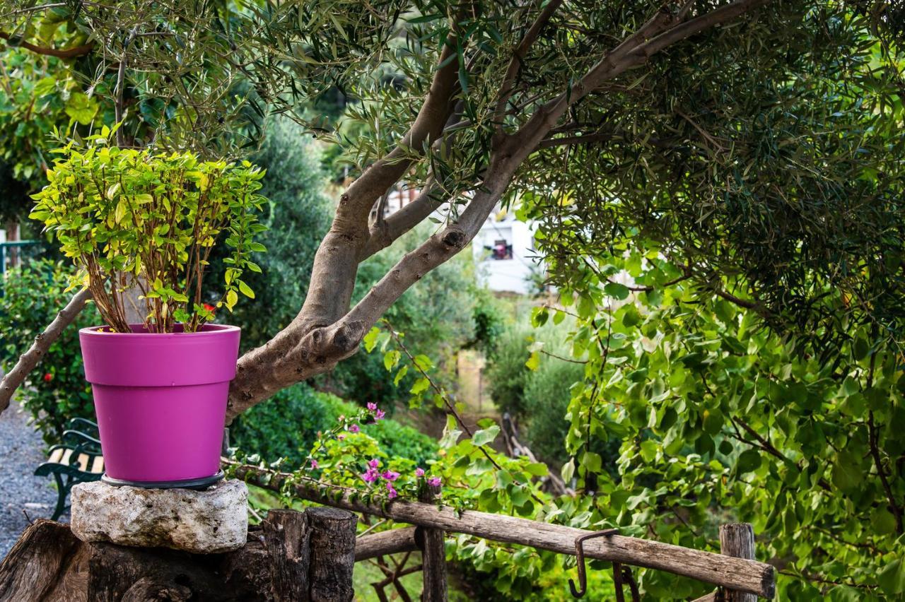 Chic & Spacious House In Rodia Heraklion Esterno foto